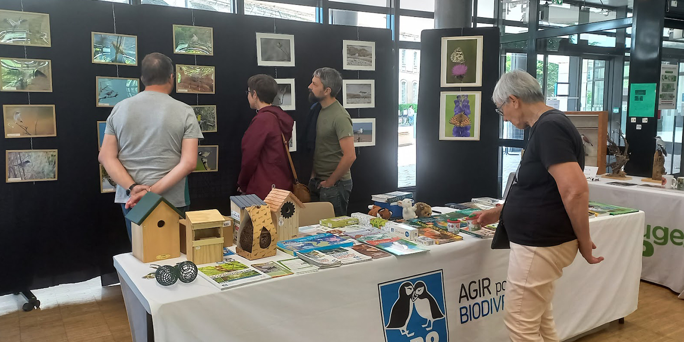 Festival Natur'Art